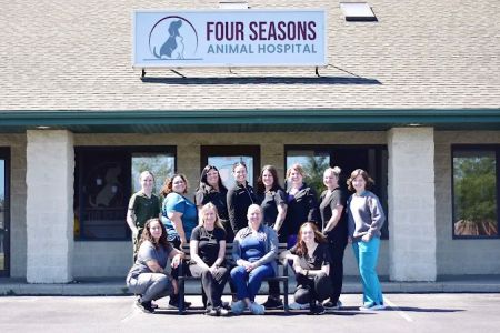 Four Seasons Animal Hospital