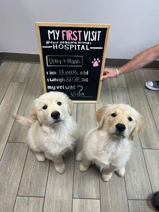 Four Seasons Animal Hospital 8