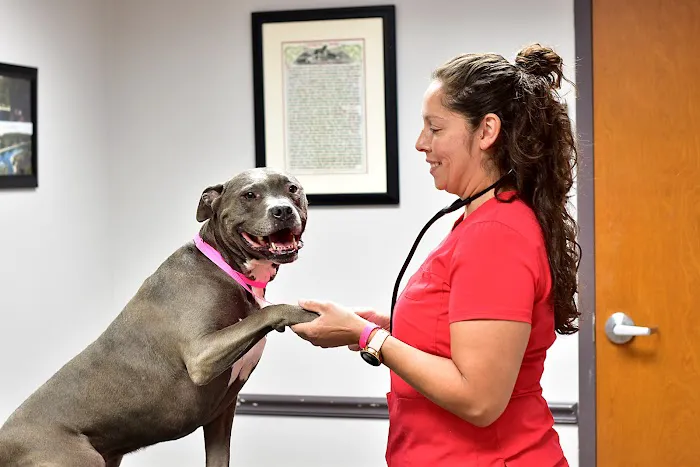 Four Seasons Animal Hospital 6