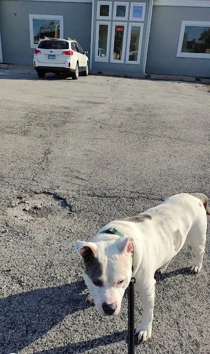 County Line Pet Hospital 12