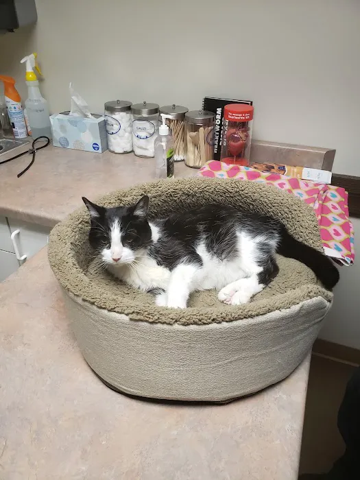 County Line Pet Hospital 12