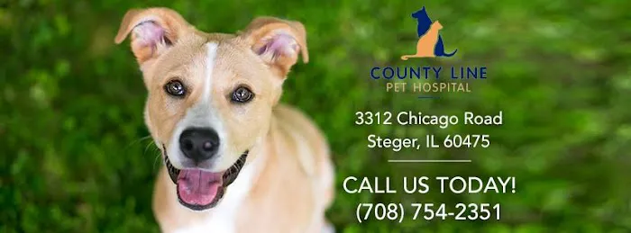 County Line Pet Hospital 12