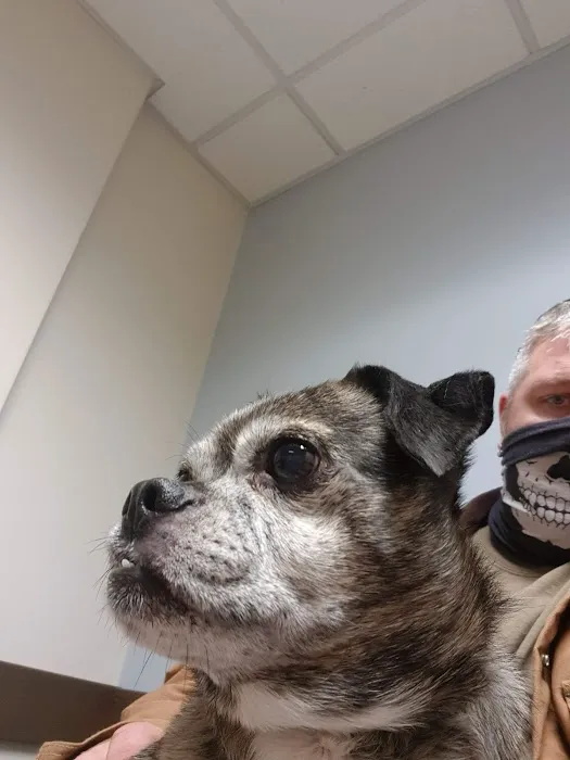 County Line Pet Hospital 12