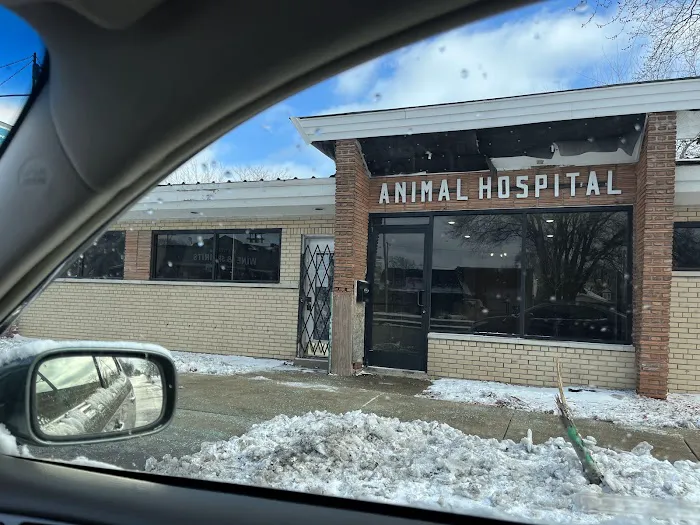 Morgan Park Animal Hospital 12