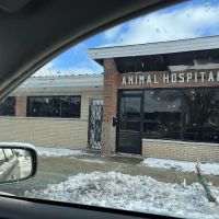 Morgan Park Animal Hospital ico