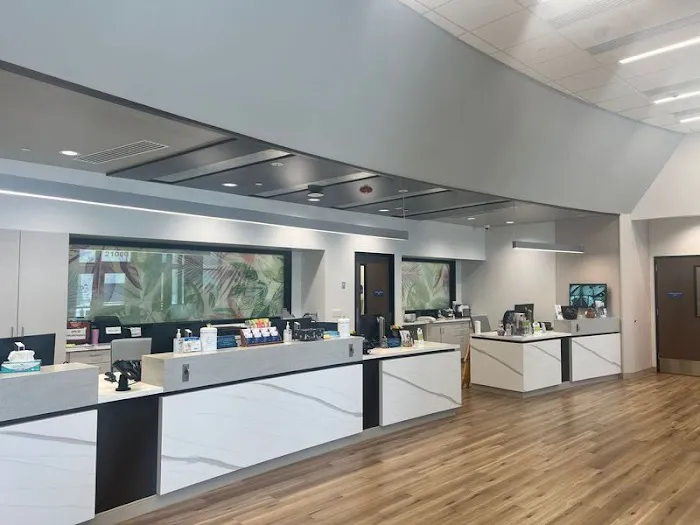 VCA Forest South Animal Hospital 2