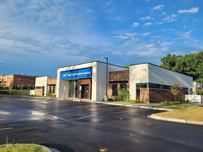 VCA Forest South Animal Hospital 1