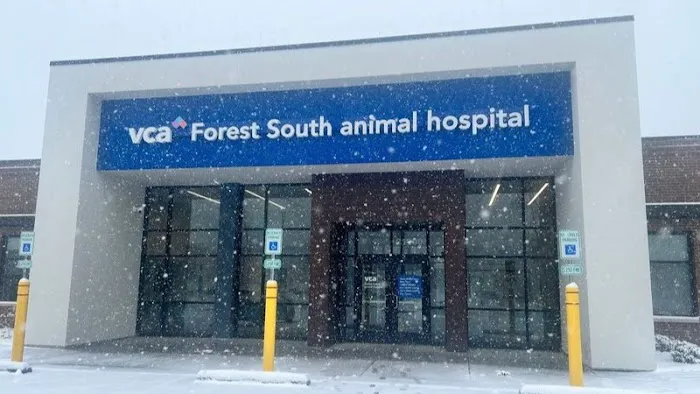 VCA Forest South Animal Hospital 6
