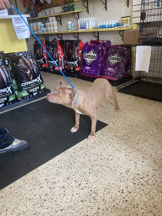 Foster's Kennel/ Park Forest Animal 12