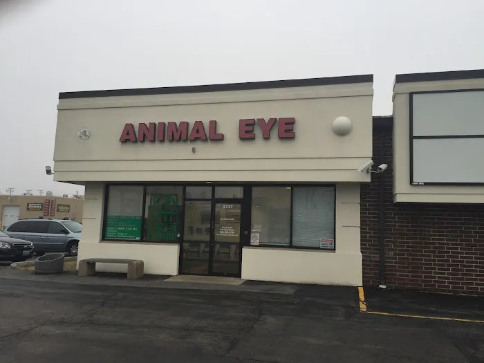 Animal Eye Consultants 3