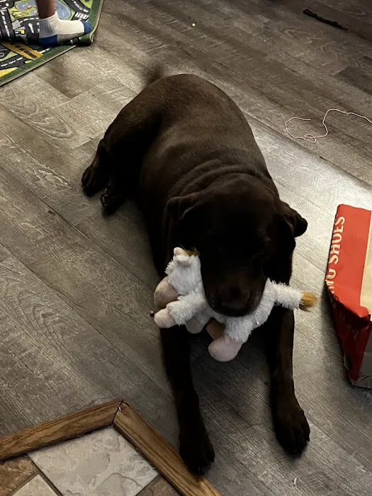 Banfield Pet Hospital 12
