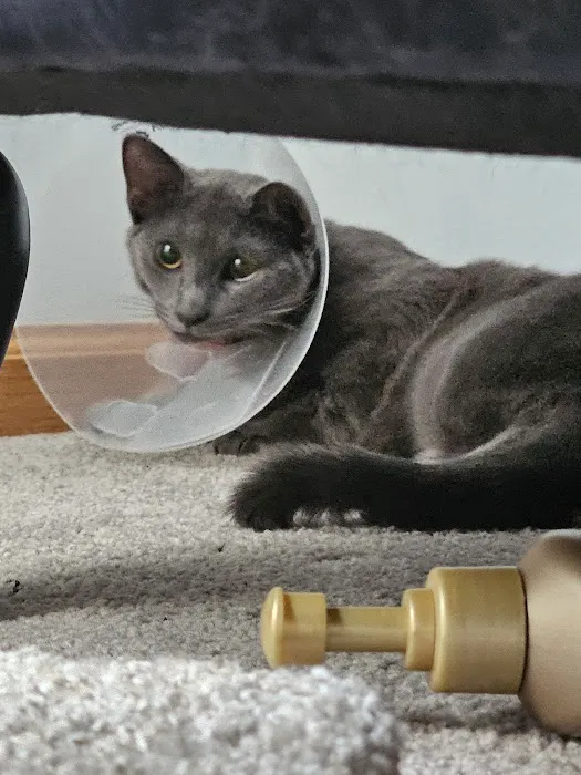 Banfield Pet Hospital 12