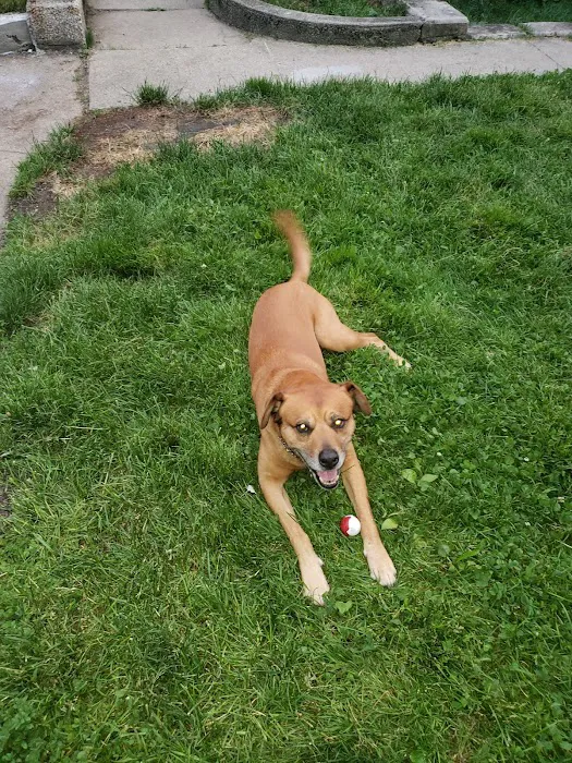 Ashland Animal Hospital 12