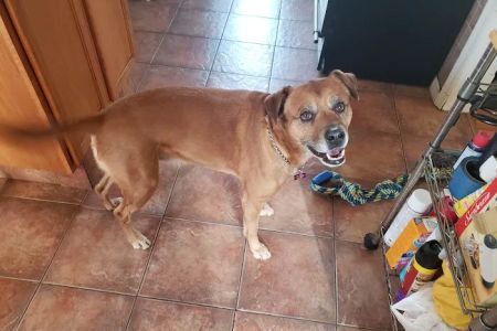 Ashland Animal Hospital