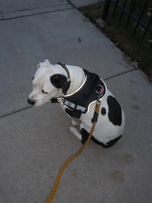Ashland Animal Hospital 12