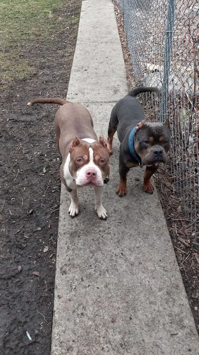 Ashland Animal Hospital 12