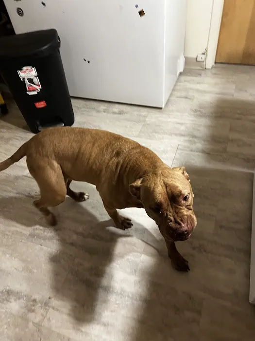 Banfield Pet Hospital 12