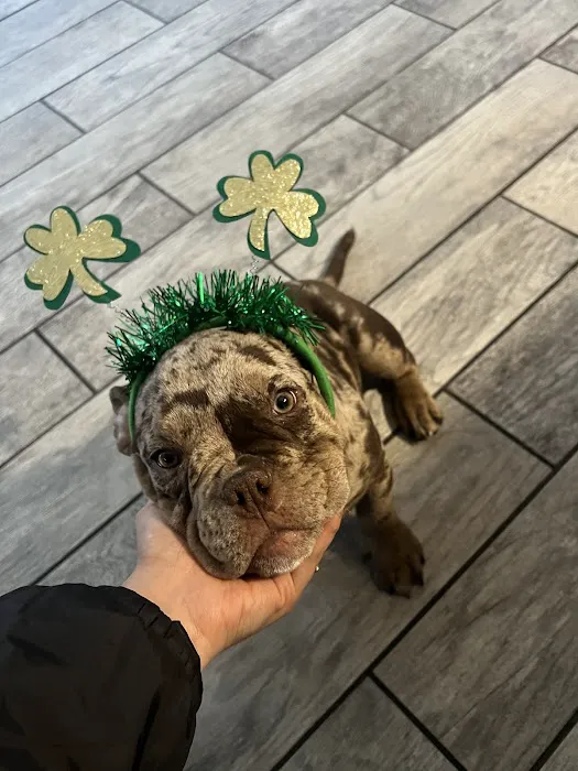 Banfield Pet Hospital 12