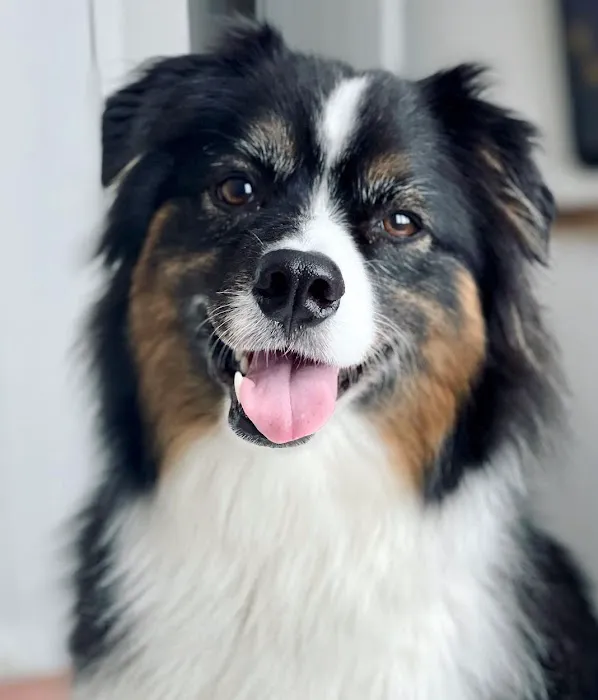 Banfield Pet Hospital 12