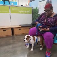 Vetco Vaccination Clinic ico
