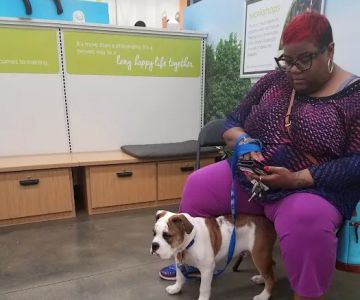 Vetco Vaccination Clinic