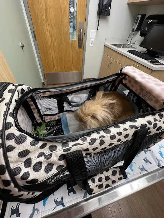 VCA Worth Animal Hospital: Mc Namee Crystal DVM 12