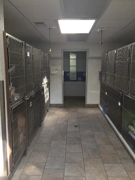Palos Animal Hospital 12