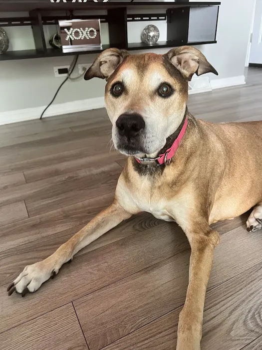 Palos Animal Hospital 12
