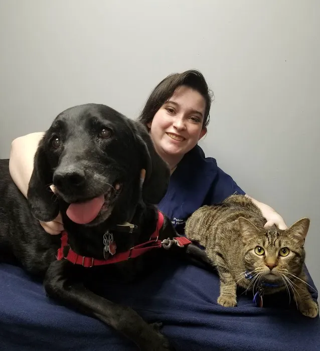 Palos Animal Hospital 12