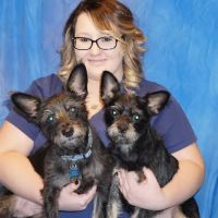 Palos Animal Hospital ico