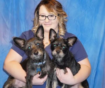 Palos Animal Hospital