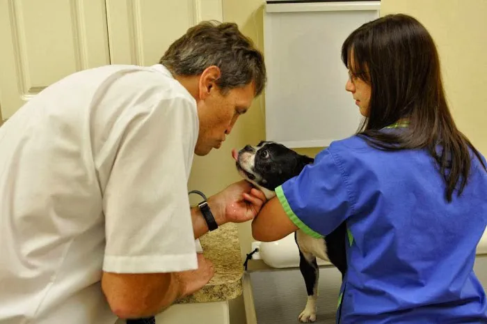 Chicago Animal Rehab 12