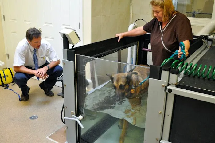 Chicago Animal Rehab 12