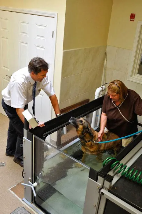 Chicago Animal Rehab 12