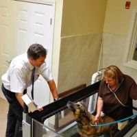 Chicago Animal Rehab ico