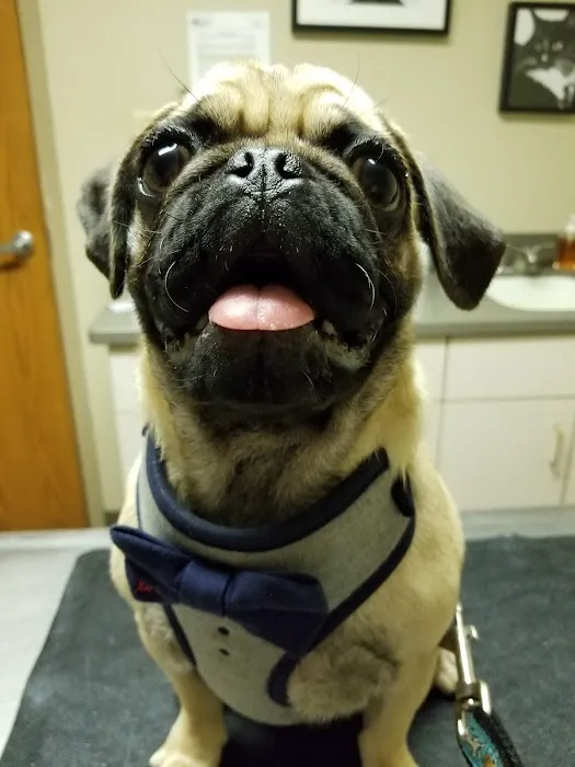 Frankfort Animal Care Center 1
