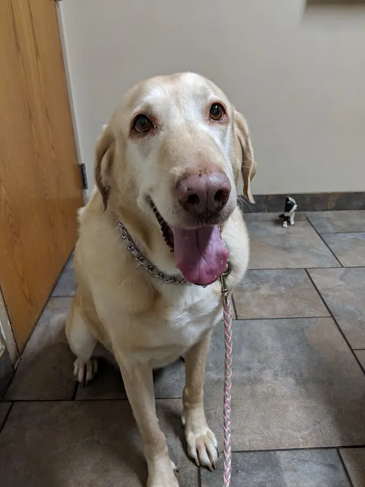 Frankfort Animal Care Center 5