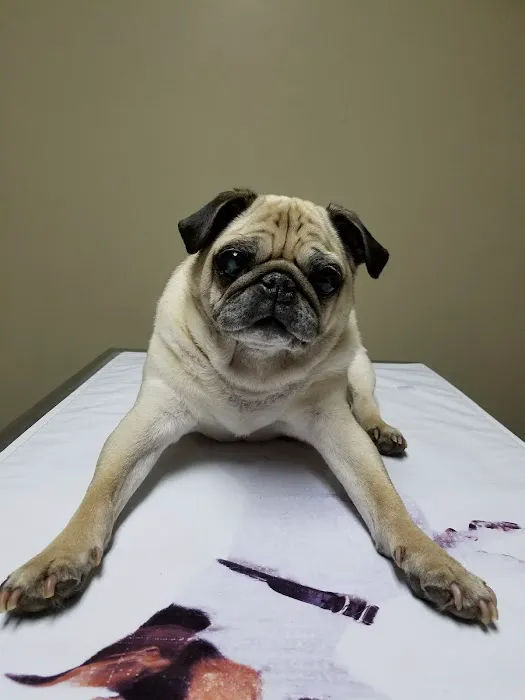 Frankfort Animal Care Center 7