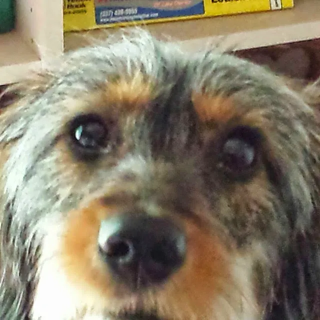 Beltline Animal Hospital 7