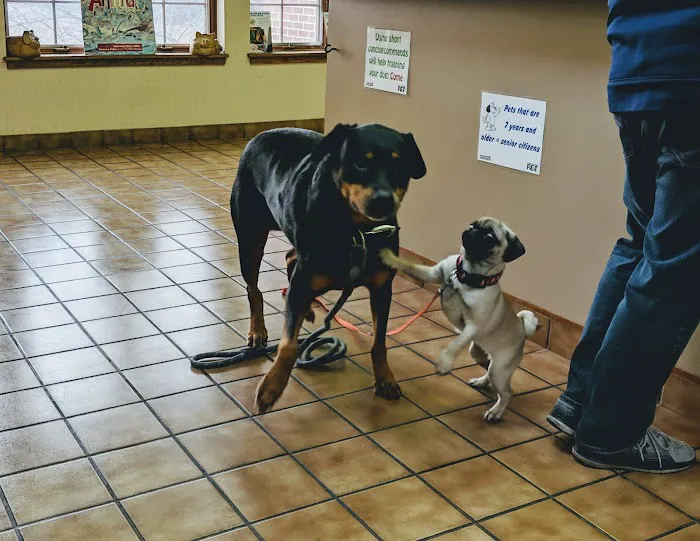 Beltline Animal Hospital 3