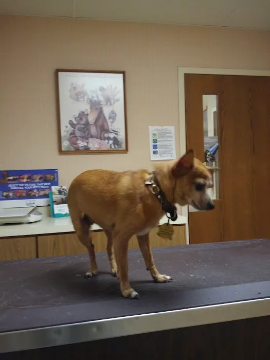 Beltline Animal Hospital 4