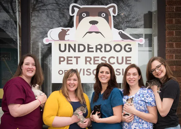 Underdog Veterinary Services 12