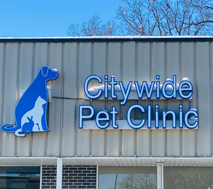 Citywide Pet Clinic 3