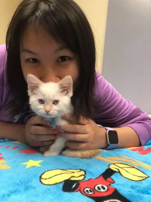 Citywide Pet Clinic 8