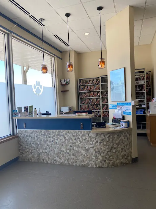 Citywide Pet Clinic 6