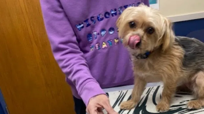 Citywide Pet Clinic 9