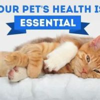 Monona Veterinary Clinic ico