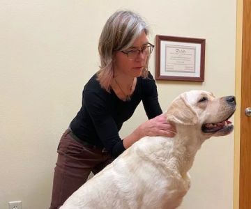 HarmonyVet Acupuncture and Spine Care