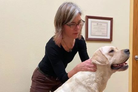 HarmonyVet Acupuncture and Spine Care