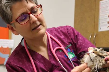 Four Lakes Veterinary Clinic